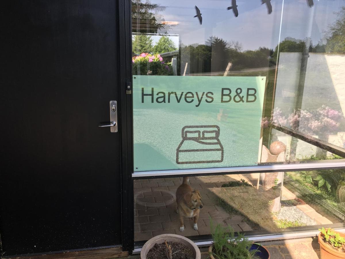 Harvey'S Bed & Breakfast Hjorring Exterior photo